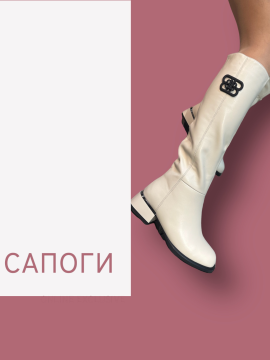 Сапоги (ЗИМА)